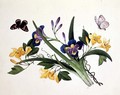 Blue Iris and Insects - Anonymous Artist