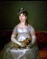 Portrait of Dona Francisca Vicenta Chollet y Caballero - Francisco De Goya y Lucientes