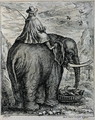 Riding an Elephant, from Elephantographia curiosa by G.C. Petri von Hartenfels, 1723 - Jacob Petrus