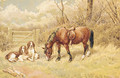 Spaniels and a Horse resting beside a Gate - Frank Paton
