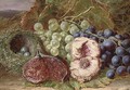 Grapes, a fig, peach and bird's nest on a mossy bank - William Ward