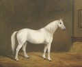 Mr Upright's Jack, a grey horse in a stable - English Provincial School