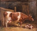A Cow And Calf In A Stall - John Frederick Herring Snr
