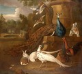 Peacocks, White Pheasants, Doves, A Hen, A Cockerel, A Rabbit Together In A Parkland Landscape - (after) Pieter Casteels III