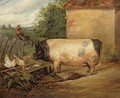 Portrait of a prize pig property of Squire Weston of Essex - Sir Edwin Henry Landseer