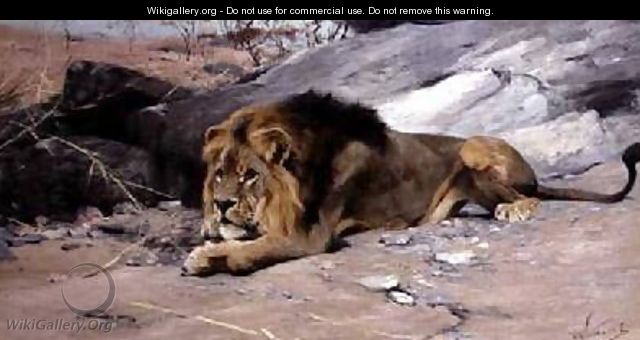 Lion Reclining in a Rocky Landscape - Wilhelm Kuhnert