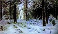 Winter 1890 - Ivan Shishkin