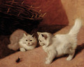 Two white Persian cats with a stag beetle - Arthur Heyer