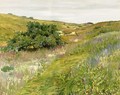Landscape Shinnecock Hills - William Merritt Chase