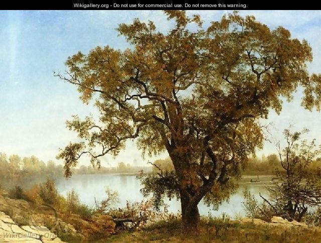 View From Sacramento - Albert Bierstadt