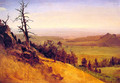 Newbraska Wasatch Mountains - Albert Bierstadt