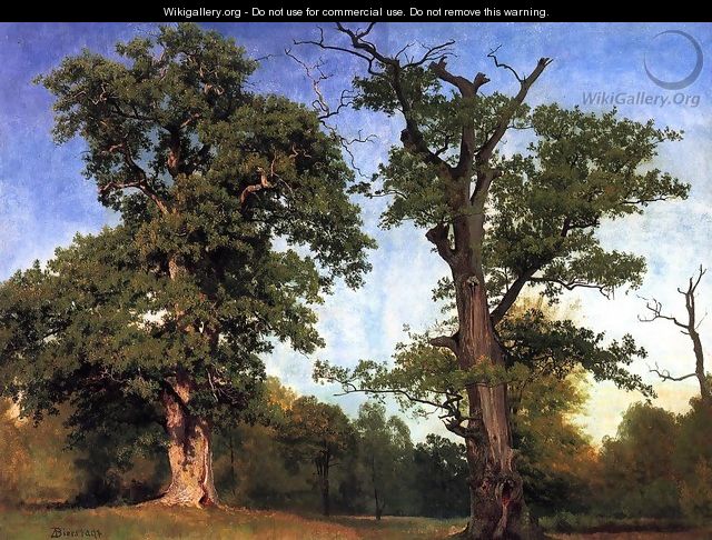 Pioneers Of The Woods - Albert Bierstadt