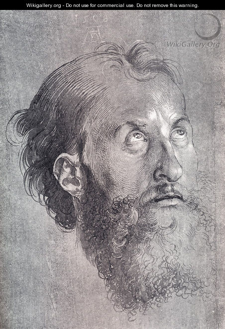 Head Of An Apostle Looking Upward - Albrecht Durer