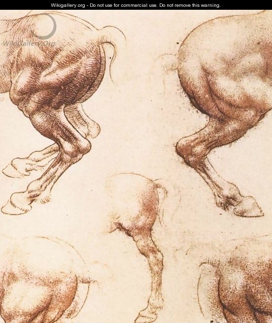 Study Of Horses 2 - Leonardo Da Vinci