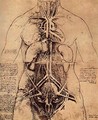 Drawing Of A Womans Torso - Leonardo Da Vinci