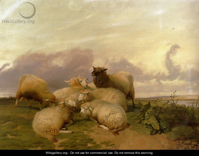 Sheep In Canterbury Water Meadows - Thomas Sidney Cooper