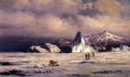 Arctic Invaders - William Bradford