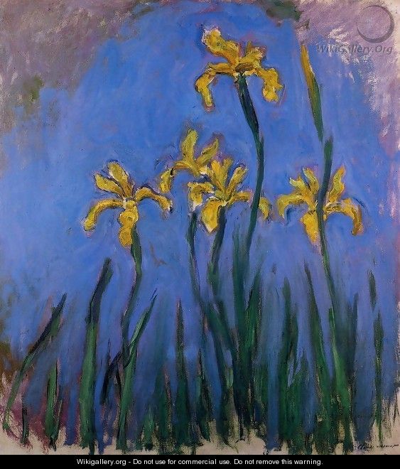 Yellow Irises2 - Claude Oscar Monet