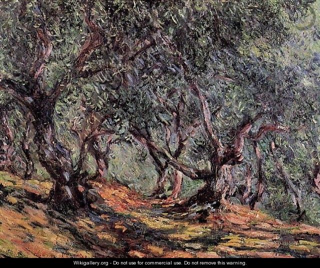 Olive Trees In Bordighera - Claude Oscar Monet