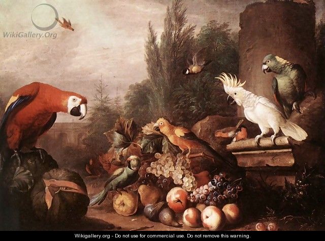 Still-life with Birds 1710s - Jakab Bogdany