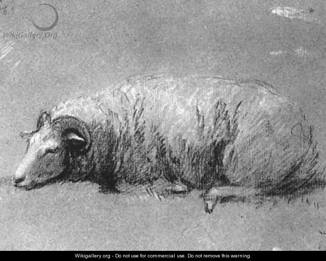 Study of a Sheep 1757-59 - Thomas Gainsborough