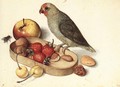 Still-Life with Pygmy Parrot - Georg Flegel