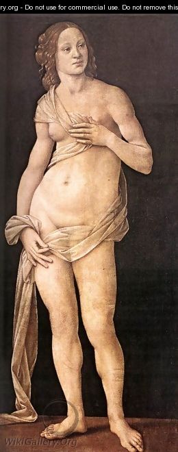 Venus 1493-94 - Lorenzo di Credi
