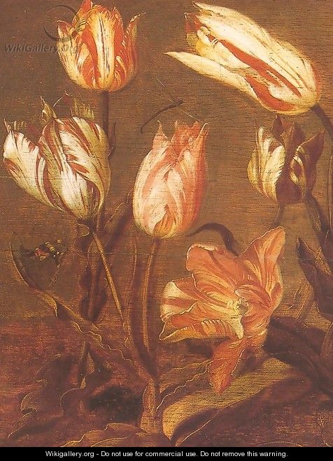 Tulip Field (detail) 1638 - Jacob Gerritsz. Cuyp