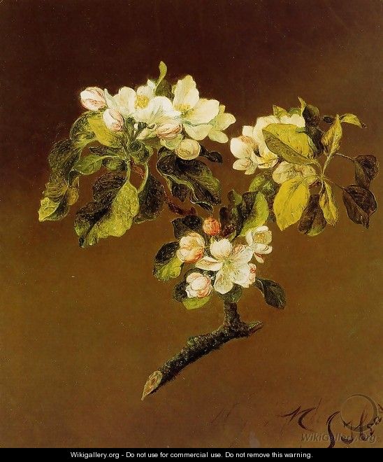 A Spray Of Apple Blossoms - Martin Johnson Heade