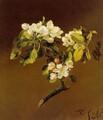 A Spray Of Apple Blossoms - Martin Johnson Heade