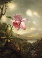 Hummingbird And Orchid Sun Breaking Through The Clouds - Martin Johnson Heade