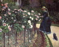 Roses Garden At Petit Gennevilliers - Gustave Caillebotte