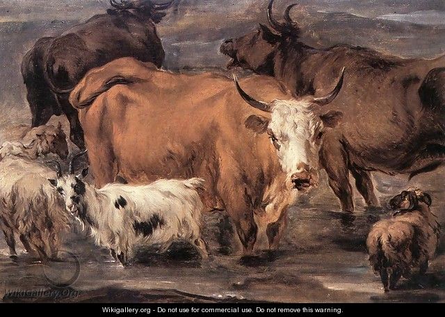 Animal Study - Nicolaes Berchem