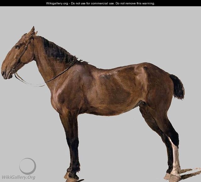 Portrait of a Horse, 1794 - Jacques Laurent Agasse