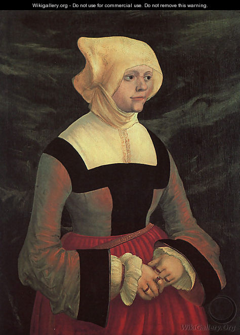 Portrait of a Lady - Albrecht Altdorfer