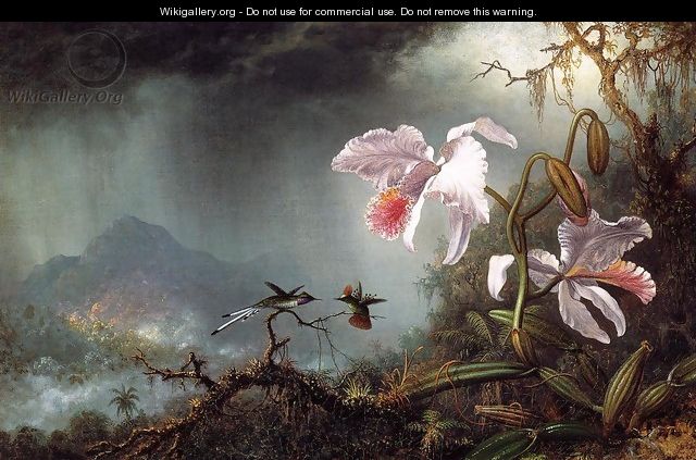 Two Fighting Hummingbirds With Two Orchids - Martin Johnson Heade