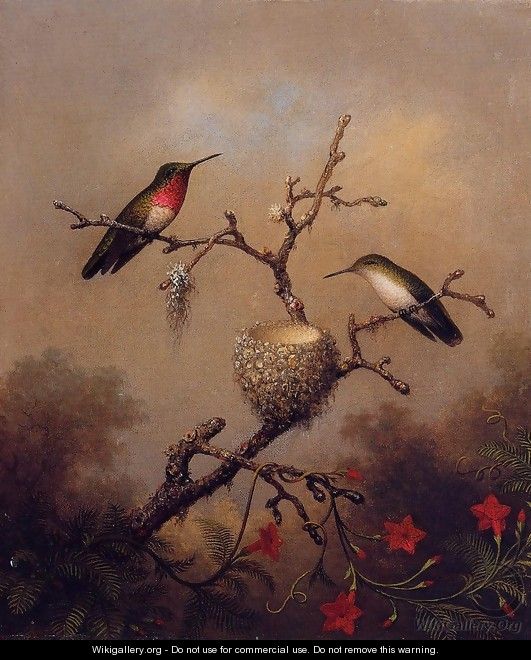 Ruby Throated Hummingbird - Martin Johnson Heade