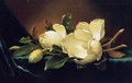 Two Magnolias And A Bud On Teal Velvet - Martin Johnson Heade