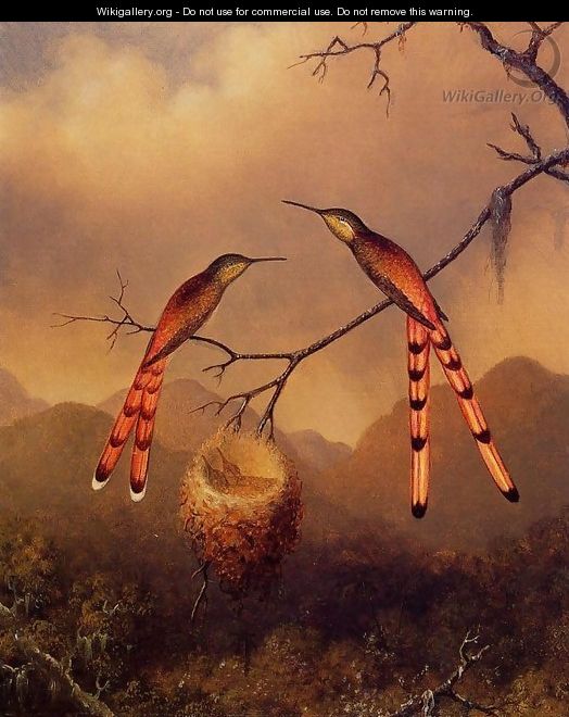 Two Hummingbirds With Their Young - Martin Johnson Heade