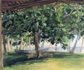 View From Hut At Vaiala In Upolu Bread Fruit Tree War Drums And Canoe Nov 19th 1890 - John La Farge
