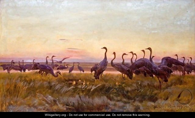 Greeting of the Sun - Cranes - Jozef Chelmonski