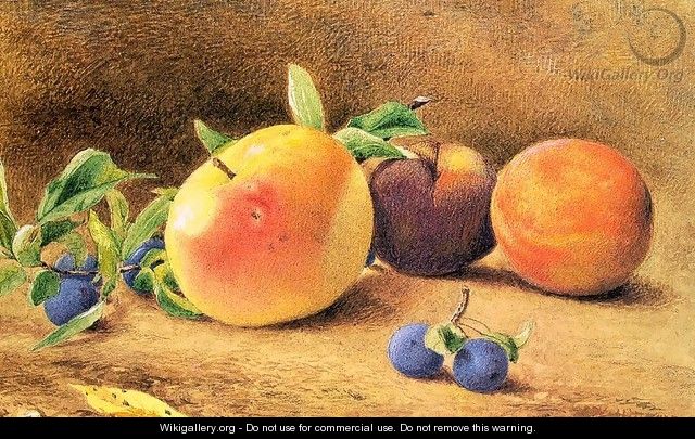 Study of Fruit 1877 - John William Hill