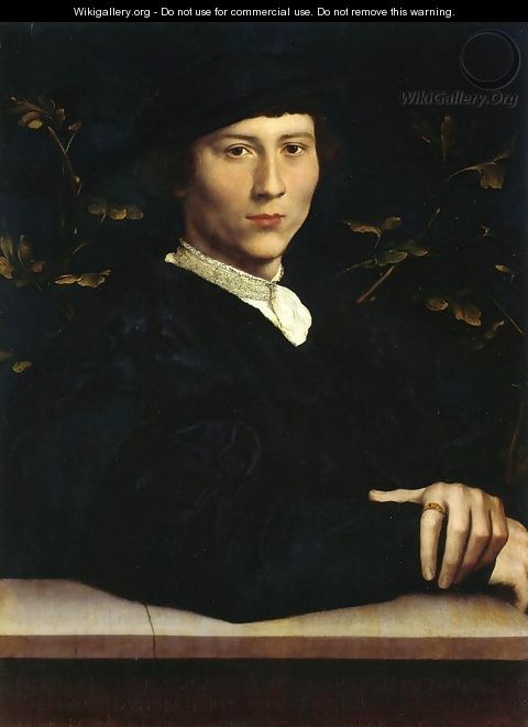 Portrait of Derich Born 1533 - Hans, the Younger Holbein