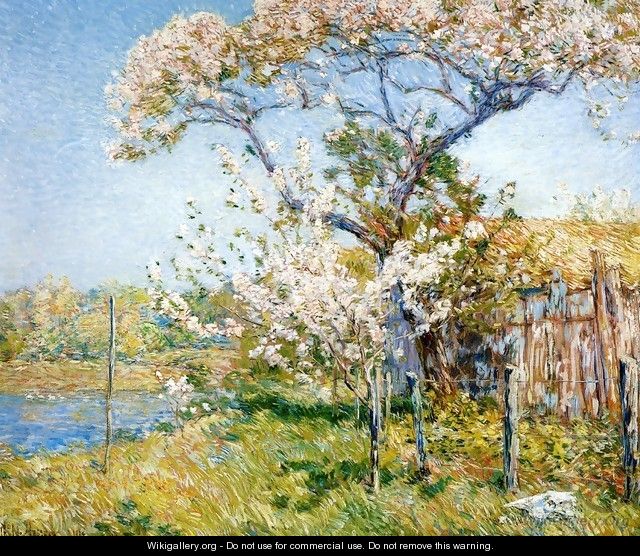 Apple Trees in Bloom, Old Lyme - Frederick Childe Hassam