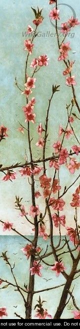 Blossoming Pink Branches - Charles Caryl Coleman