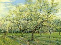 Orchard with Blossoming Plum Trees - Vincent Van Gogh
