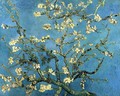 Branches with Almond Blossom - Vincent Van Gogh
