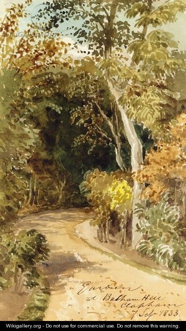Study of Trees in South-West London - Thomas Lindsay