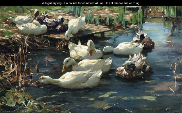 Ducks in a Quiet Pool - Alexander Max Koester