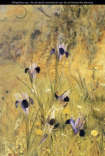 Irises in the Garden - Henry Roderick Newman